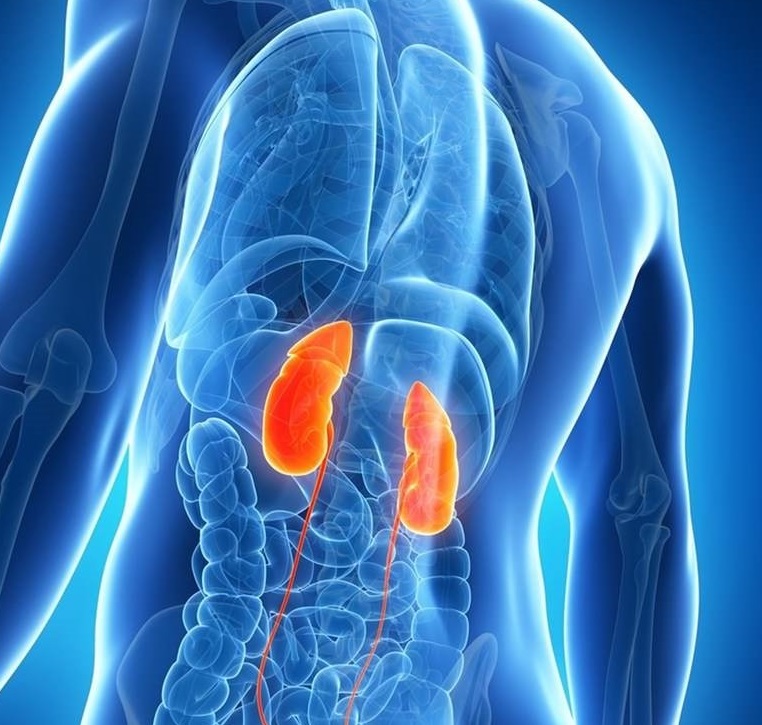 Eliminación de tumor en el riñón