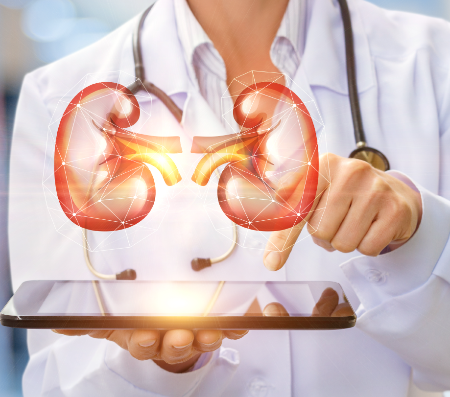 Especialista en urología femenina